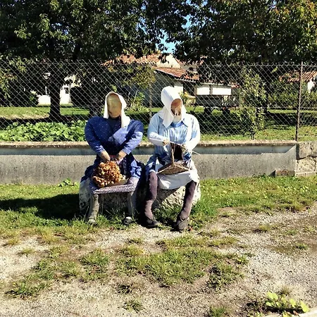 Les Du Vigneron Et Cd'h