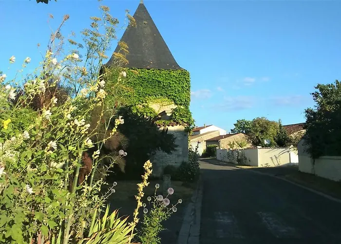 Les Du Vigneron Et Cd'h Saint-Seurin-de-Palenne