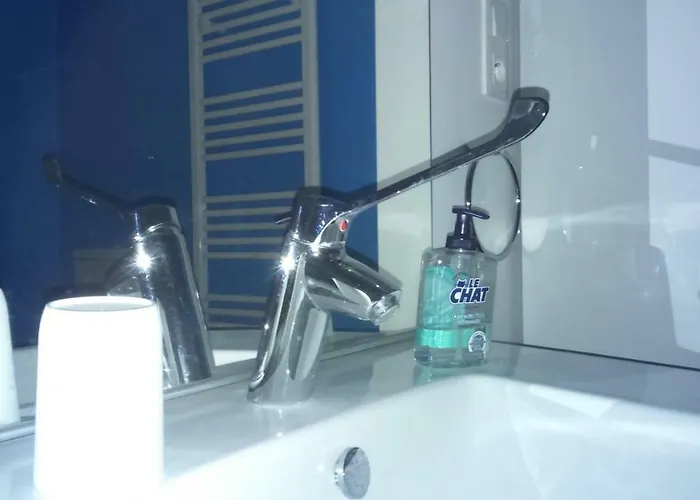 Les Du Vigneron Et Cd'h Bed and breakfast 4*