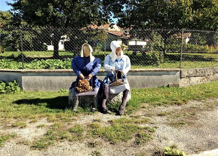 Les Du Vigneron Et Cd'h